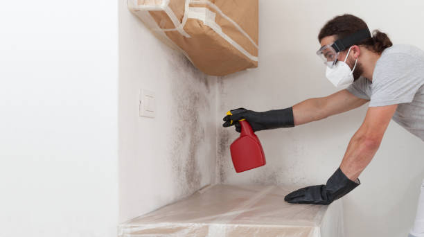 Professional Bathroom Mold Removal technician working in North Richland Hills, TX