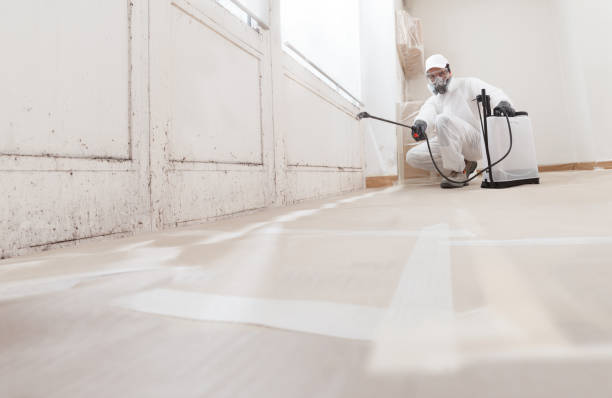 24/7 Emergency Bathroom Mold Removal experts in North Richland Hills, TX