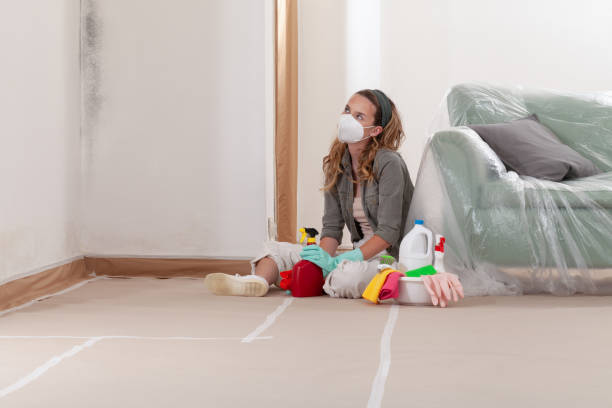 Reliable Bathroom Mold Removal contractor in North Richland Hills, TX by Mold Remediation HQ